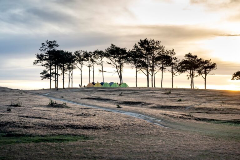Explore a serene camping view with tents, trees, and a pathway illuminated by sunrise light.