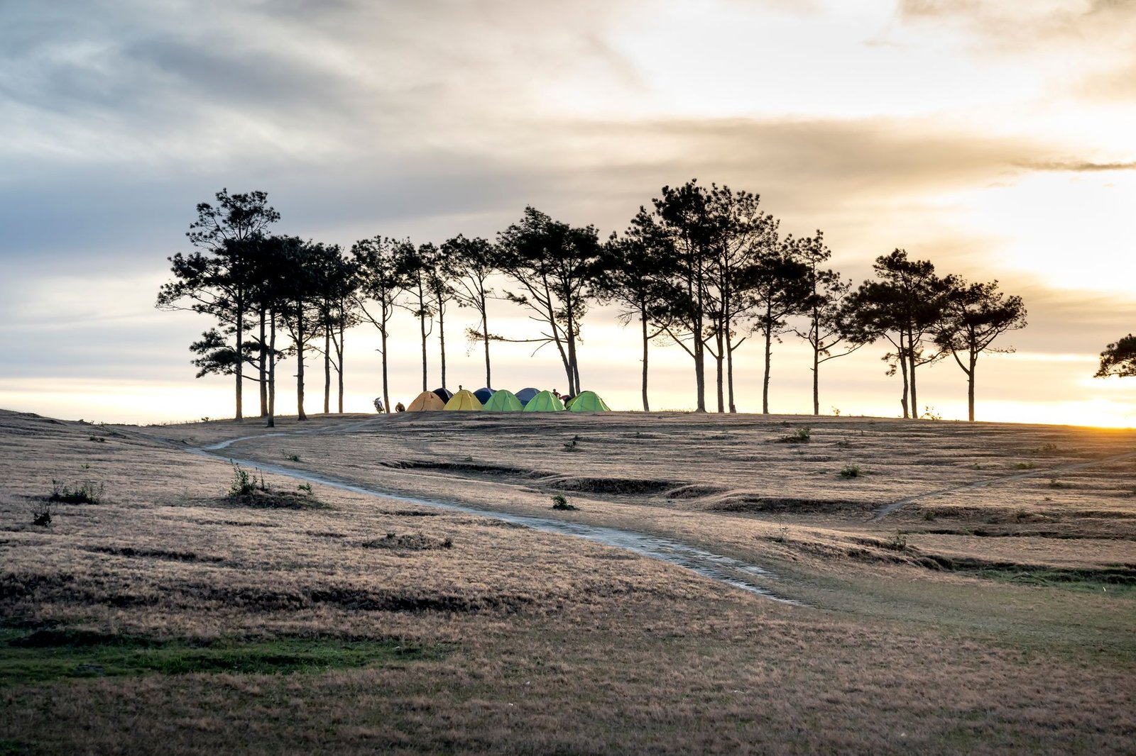 Explore a serene camping view with tents, trees, and a pathway illuminated by sunrise light.